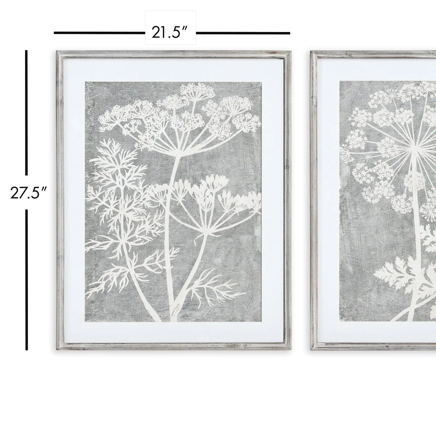 BLOOMING QUEEN ANNE'S LACE PRINTS, SET OF 2 - view 2