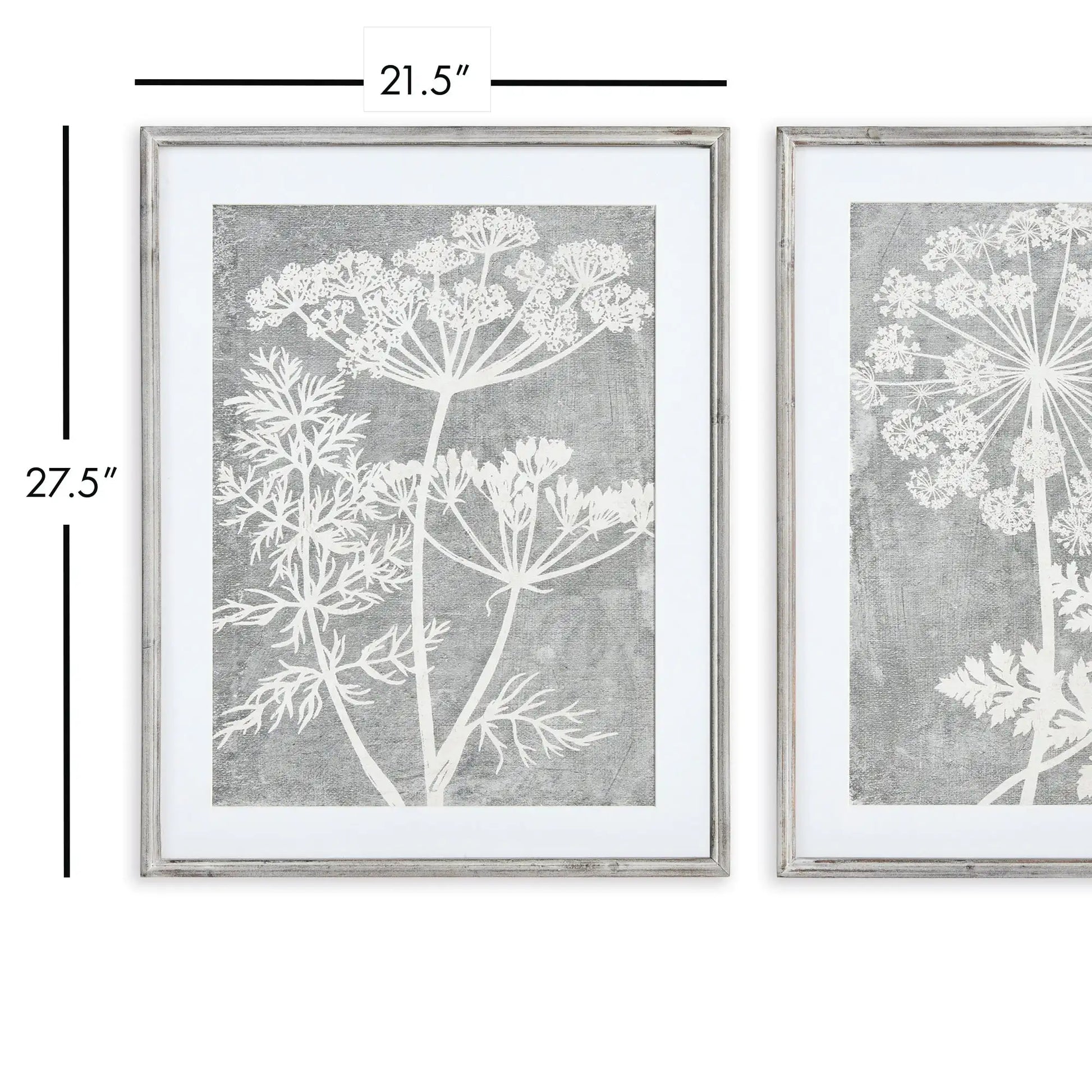 BLOOMING QUEEN ANNE'S LACE PRINTS, SET OF 2 - view 2