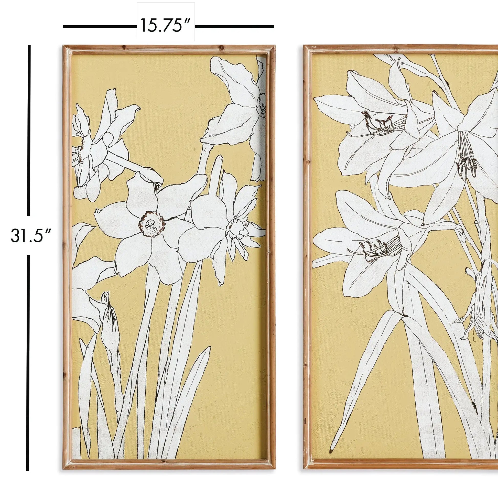 FLOWERING AMARYLLIS PRINTS, SET OF 2 - view 2