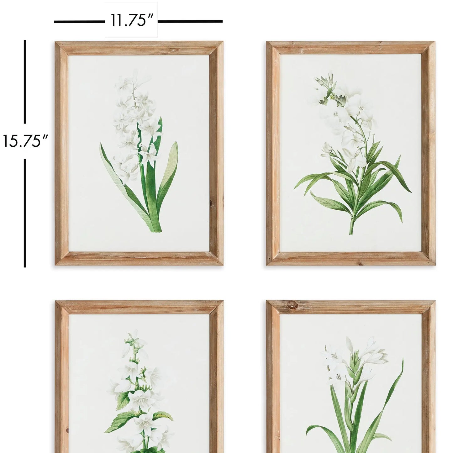 GARDEN BLOOM PRINTS, SET OF 4 - view 2