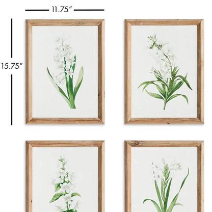 GARDEN BLOOM PRINTS, SET OF 4 - view 2
