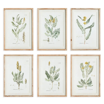 MID-SUMMER BLOOMS PRINTS, SET OF 6