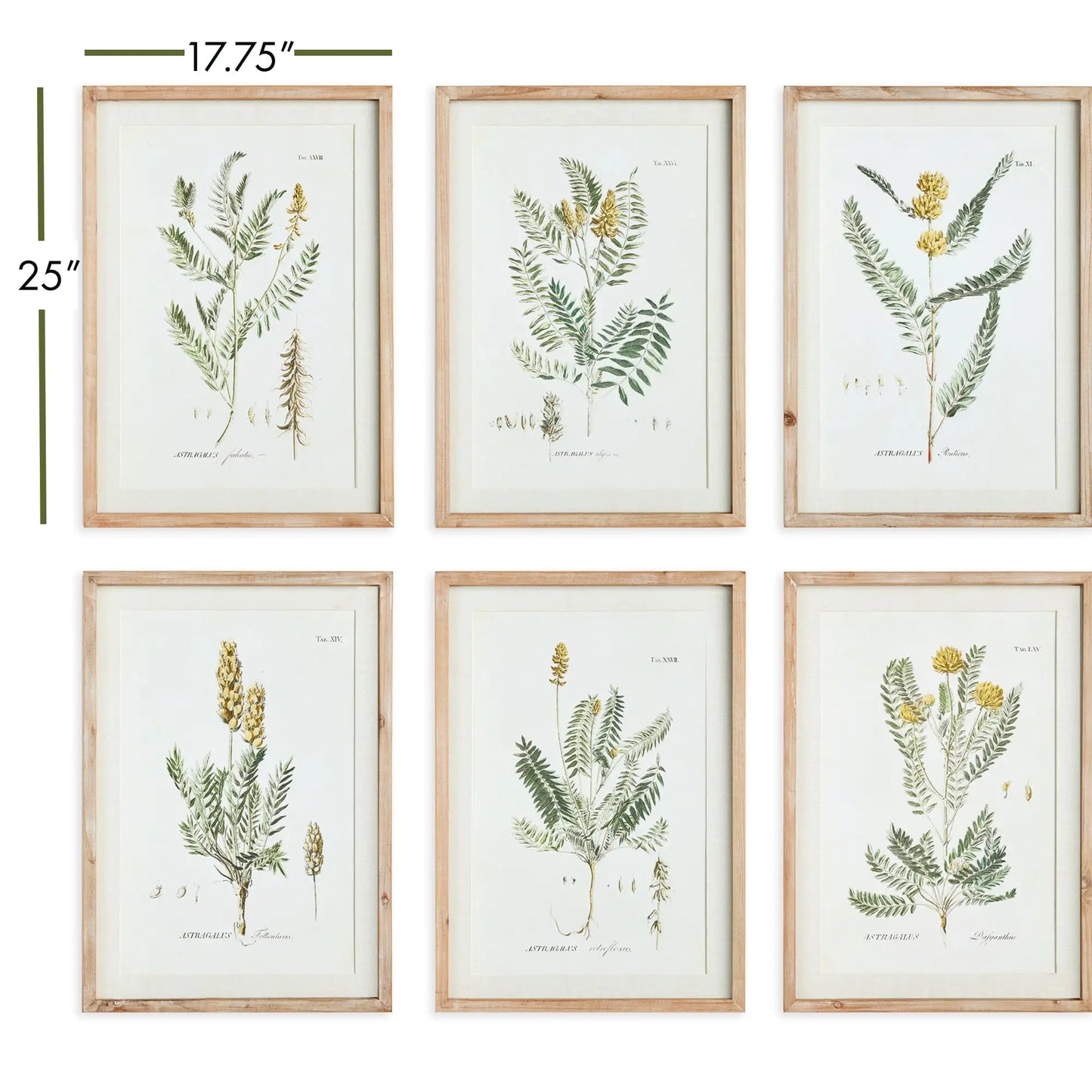 MID-SUMMER BLOOMS PRINTS, SET OF 6 - view 2