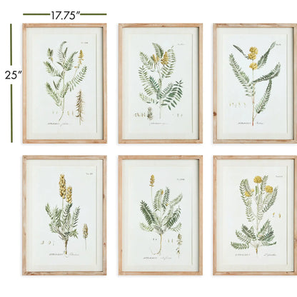 MID-SUMMER BLOOMS PRINTS, SET OF 6 - view 2