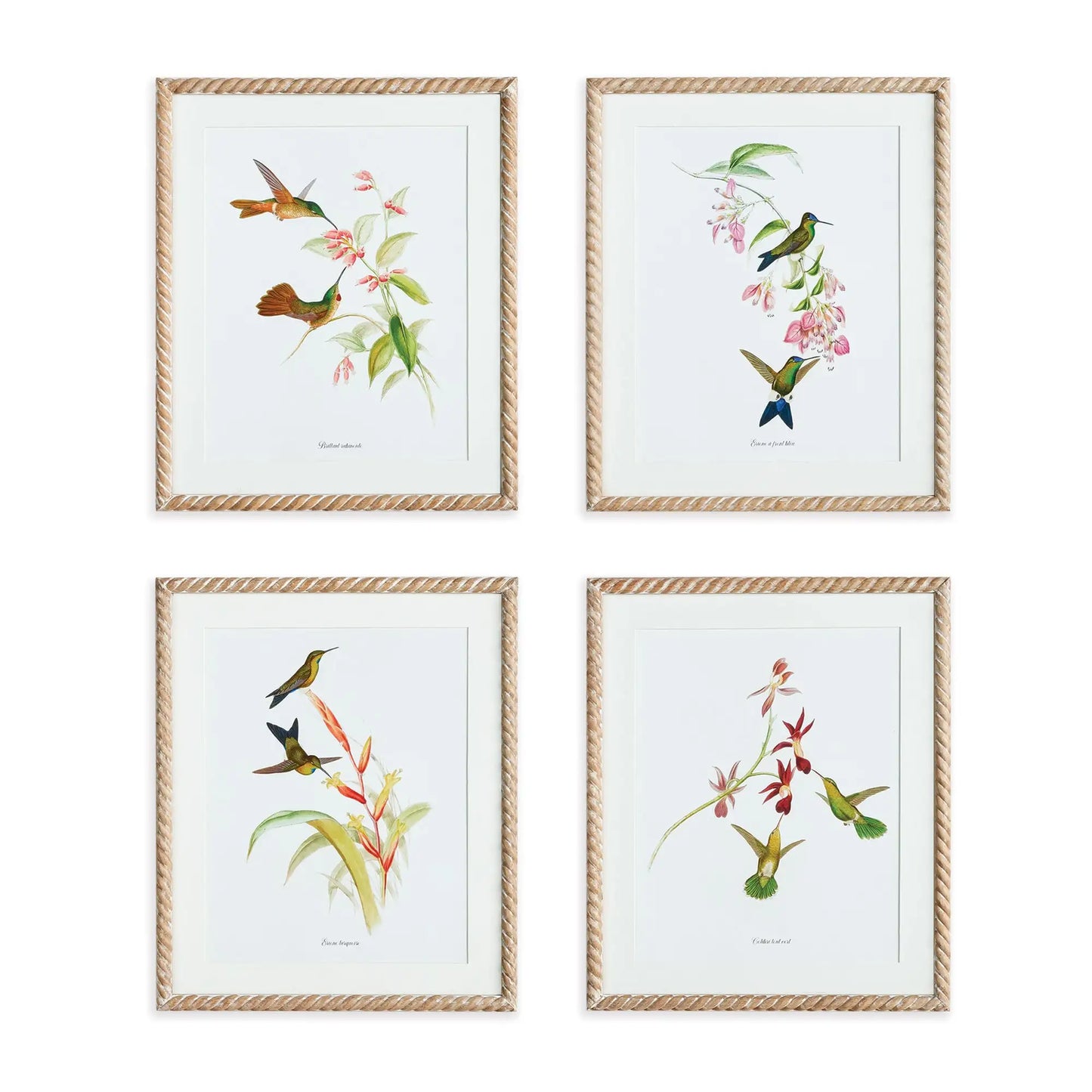 PLAYFUL HUMMINGBIRD PRINTS, SET OF 4