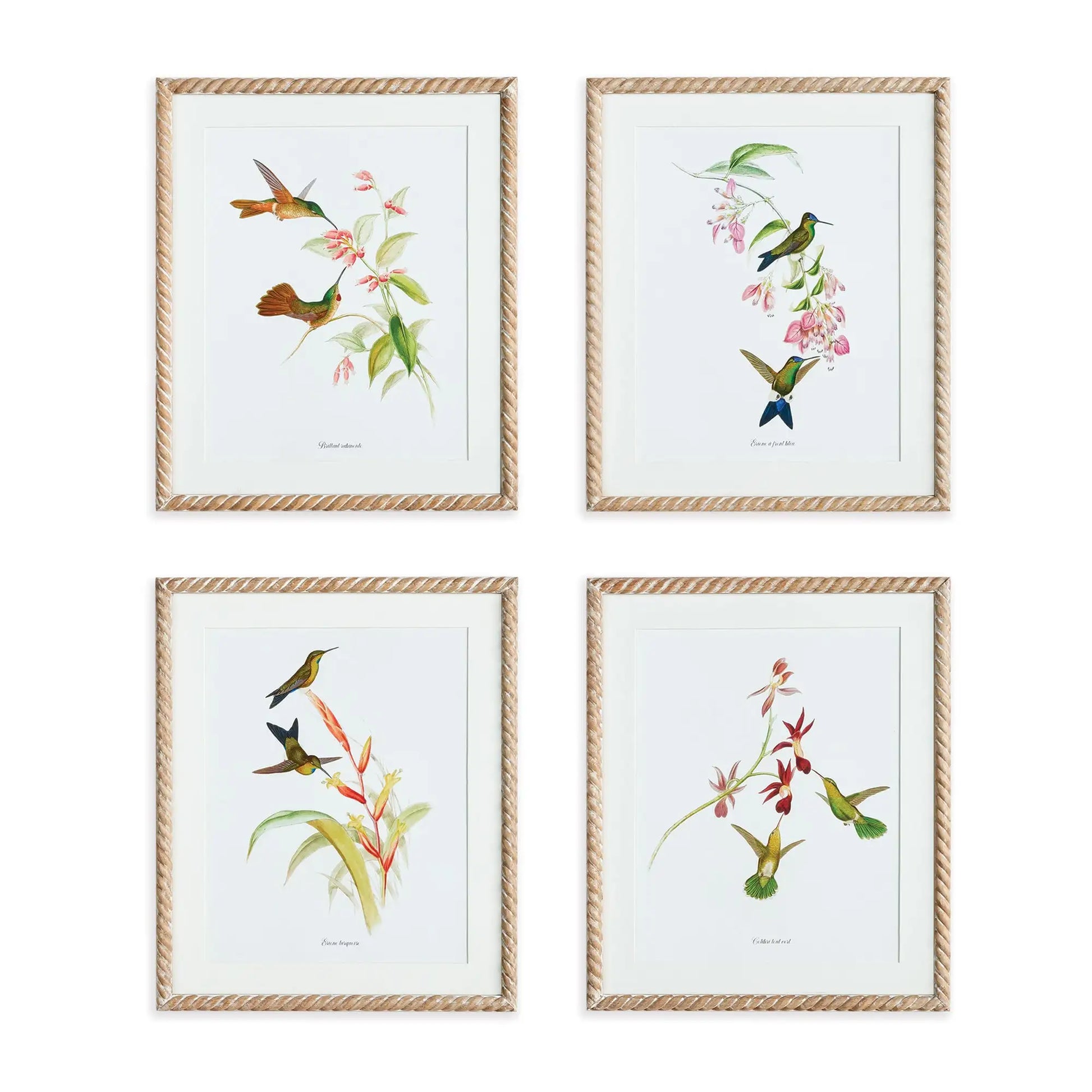 PLAYFUL HUMMINGBIRD PRINTS, SET OF 4