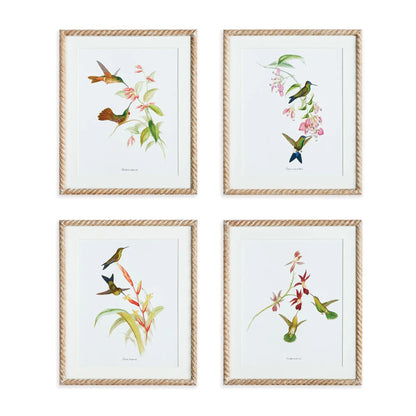 PLAYFUL HUMMINGBIRD PRINTS, SET OF 4