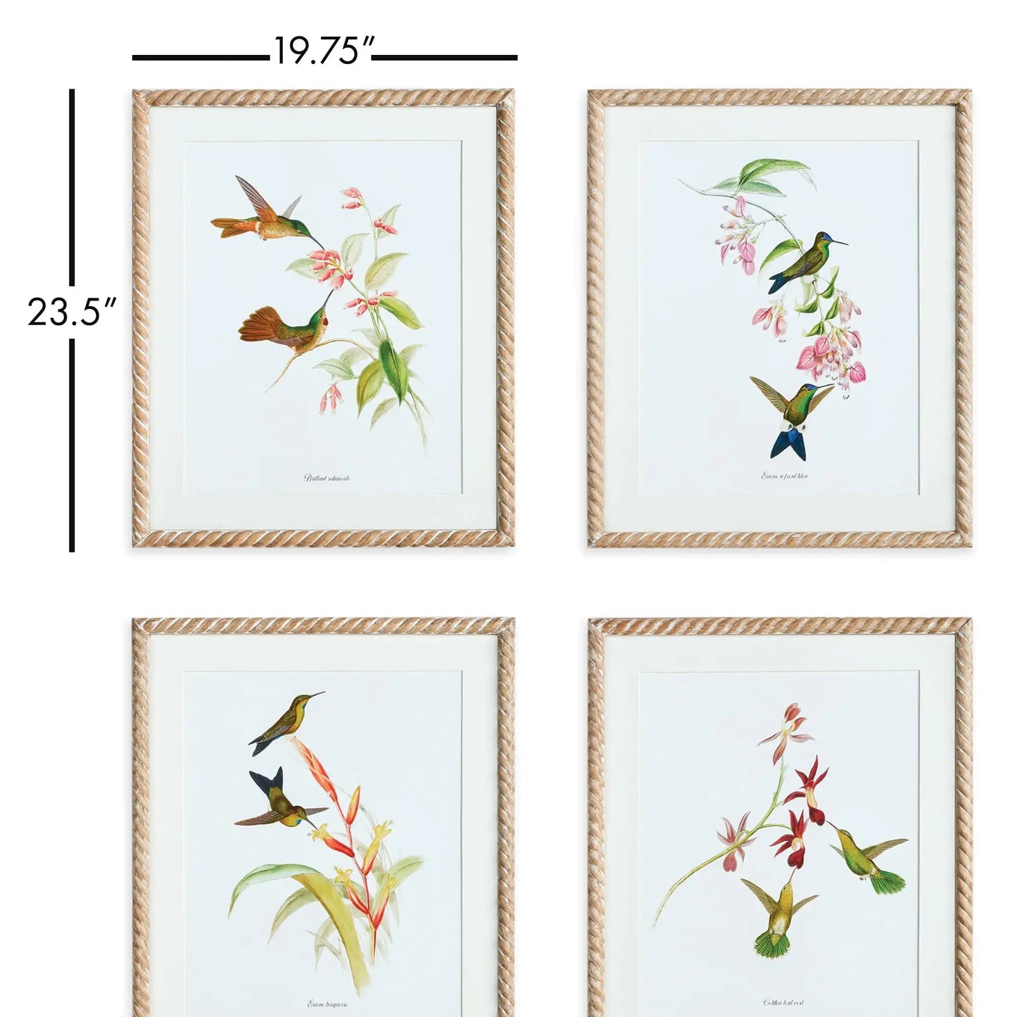 PLAYFUL HUMMINGBIRD PRINTS, SET OF 4 - view 2