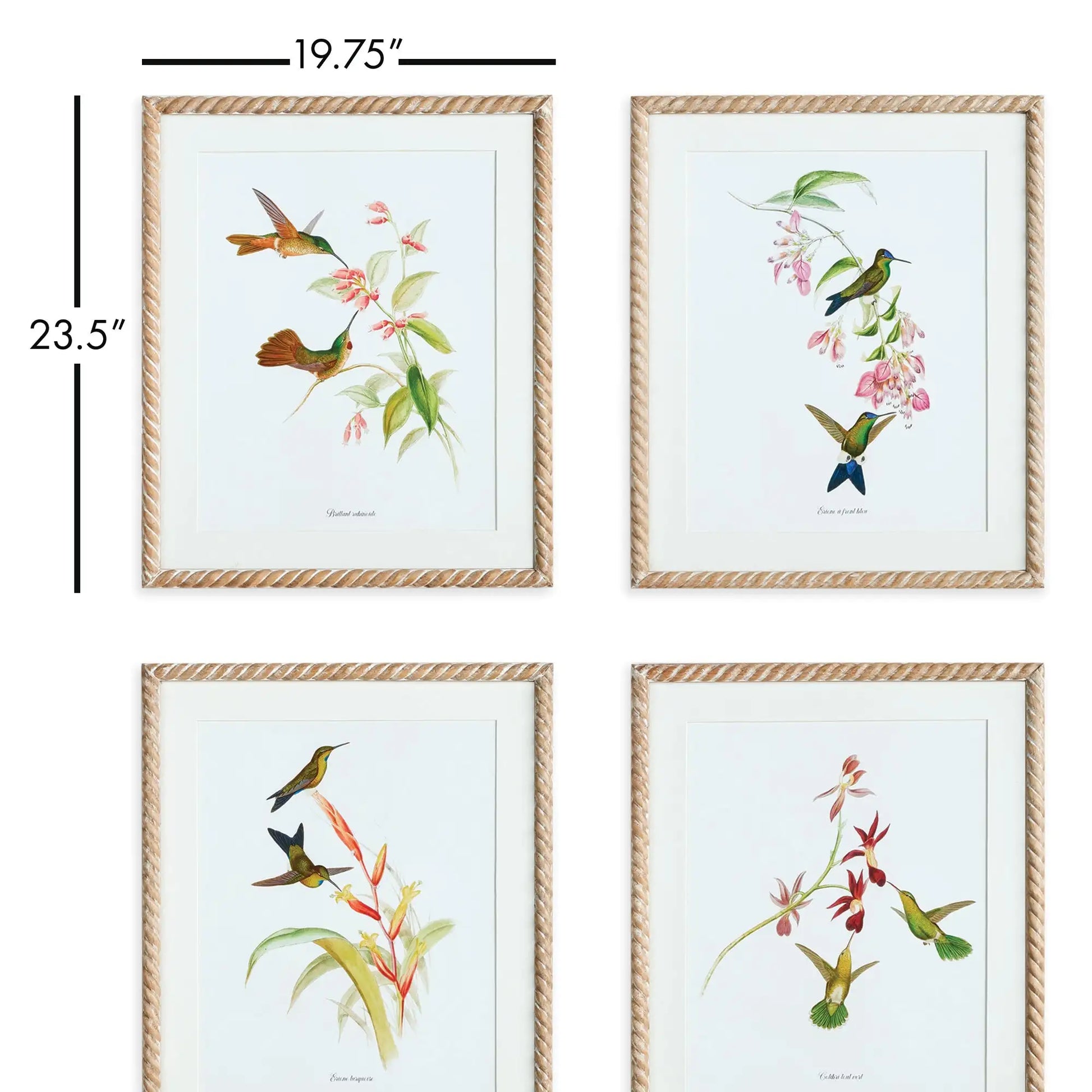 PLAYFUL HUMMINGBIRD PRINTS, SET OF 4 - view 2