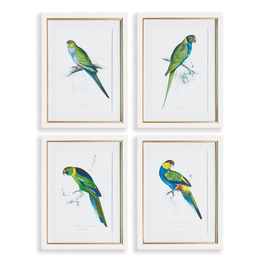 COLORFUL PARROT PRINTS, SET OF 4