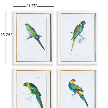 COLORFUL PARROT PRINTS, SET OF 4 - view 2