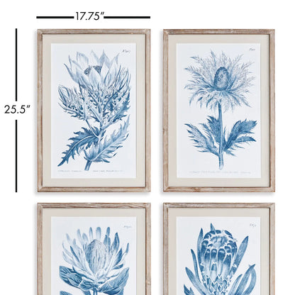 INDIGO PROTEA PRINTS, SET OF 4 - view 2