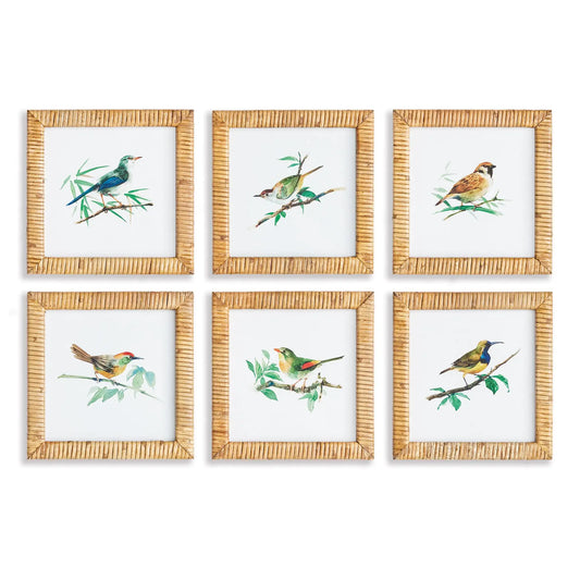 SONGBIRD PETITE PRINTS, SET OF 6