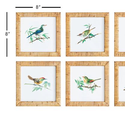 SONGBIRD PETITE PRINTS, SET OF 6 - view 2