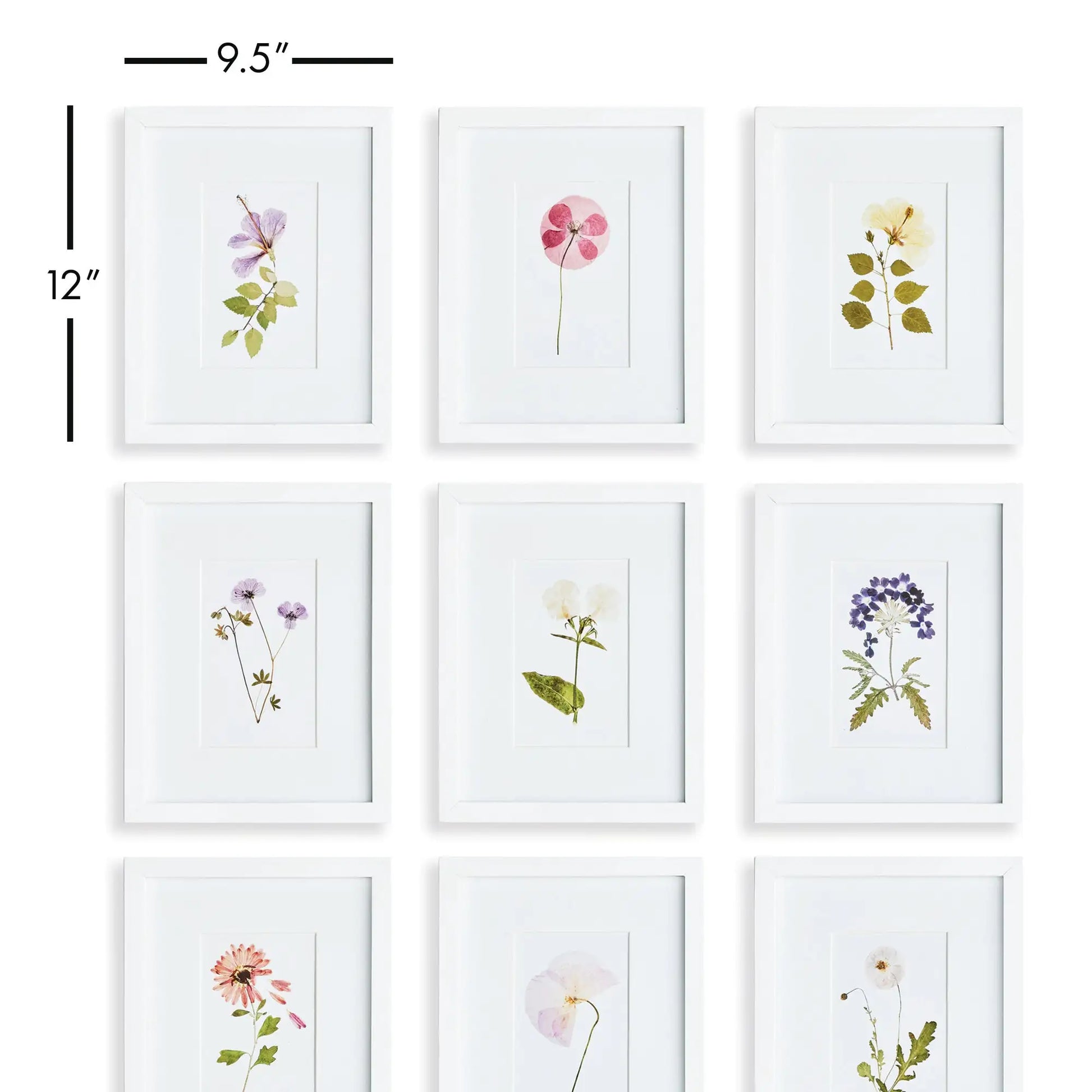 MOUNTAIN FLOWER PETITE PRINTS, SET OF 9 - view 2