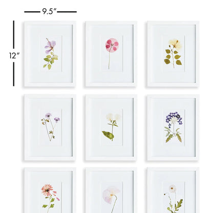 MOUNTAIN FLOWER PETITE PRINTS, SET OF 9 - view 2
