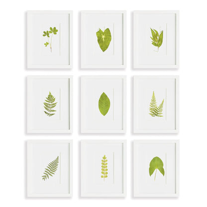 GREEN LEAF PETITE PRINTS, SET OF 9