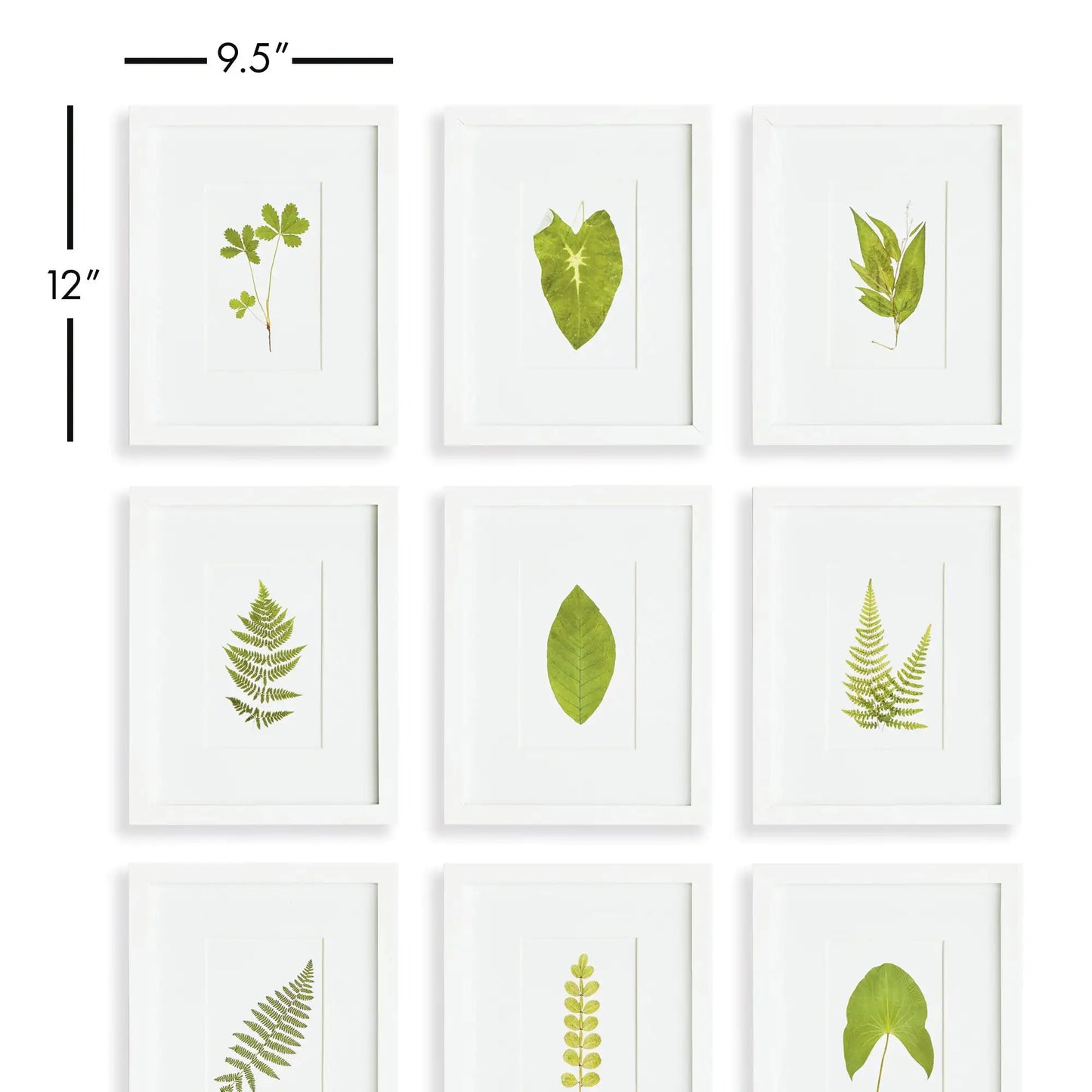 GREEN LEAF PETITE PRINTS, SET OF 9 - view 2
