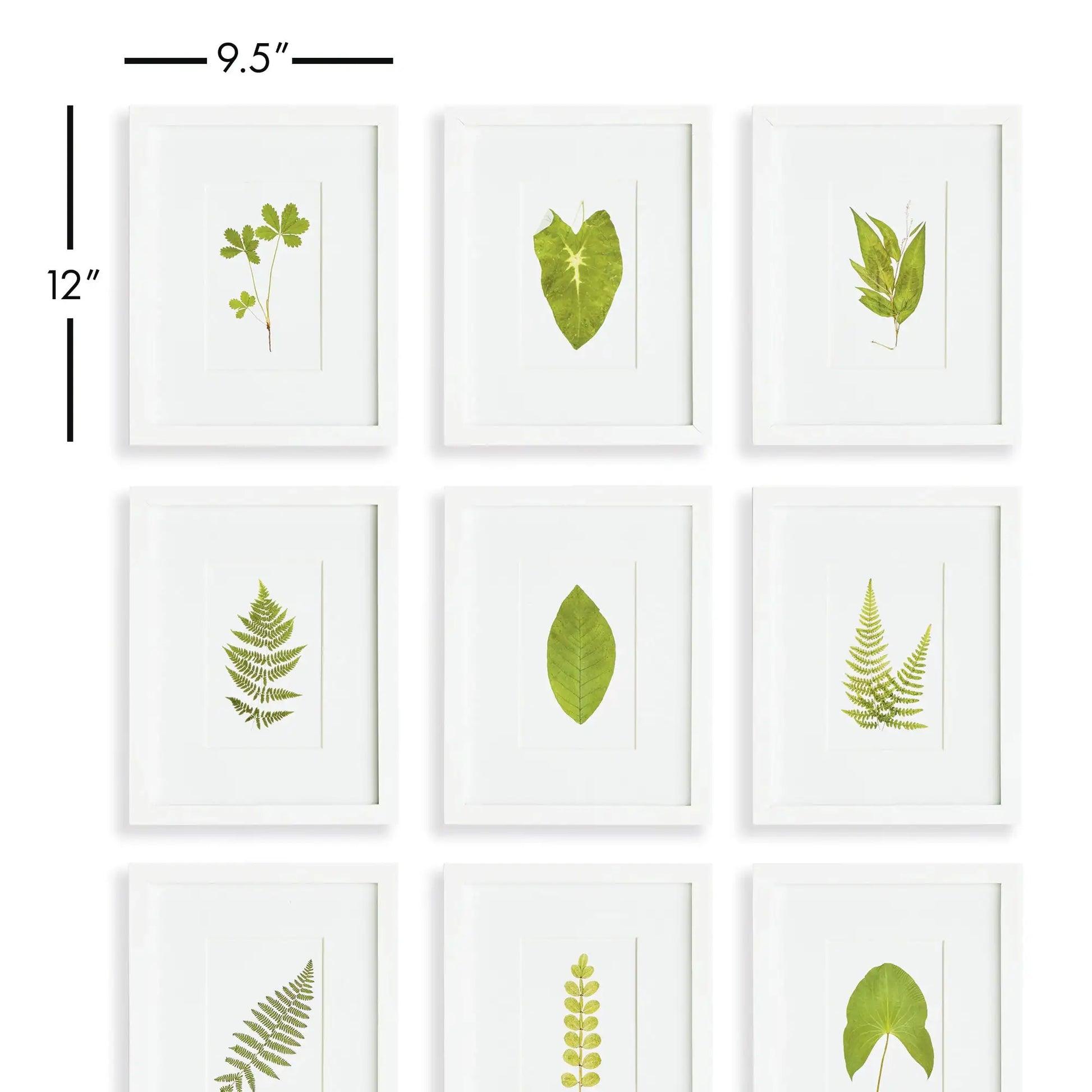 GREEN LEAF PETITE PRINTS, SET OF 9 - view 2