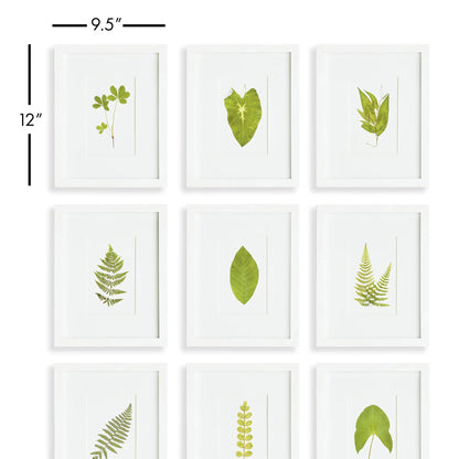 GREEN LEAF PETITE PRINTS, SET OF 9 - view 2
