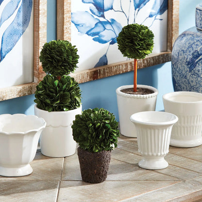 BOXWOOD MINI TOPIARY DROP-INS, SET OF 3 - view 2