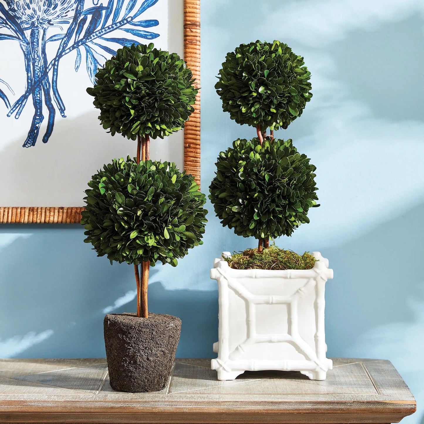 BOXWOOD DOUBLE SPHERE TOPIARY DROP-IN 20" - view 2