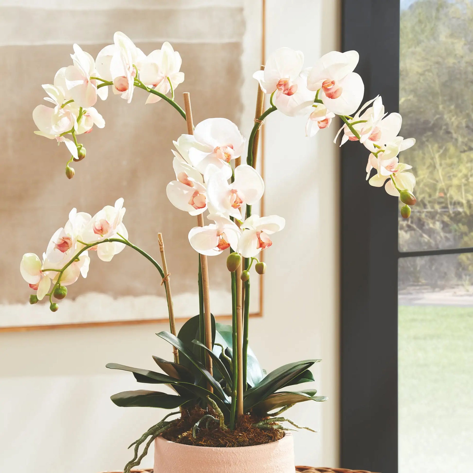 PHALAENOPSIS ORCHID DROP-IN 30" - view 2