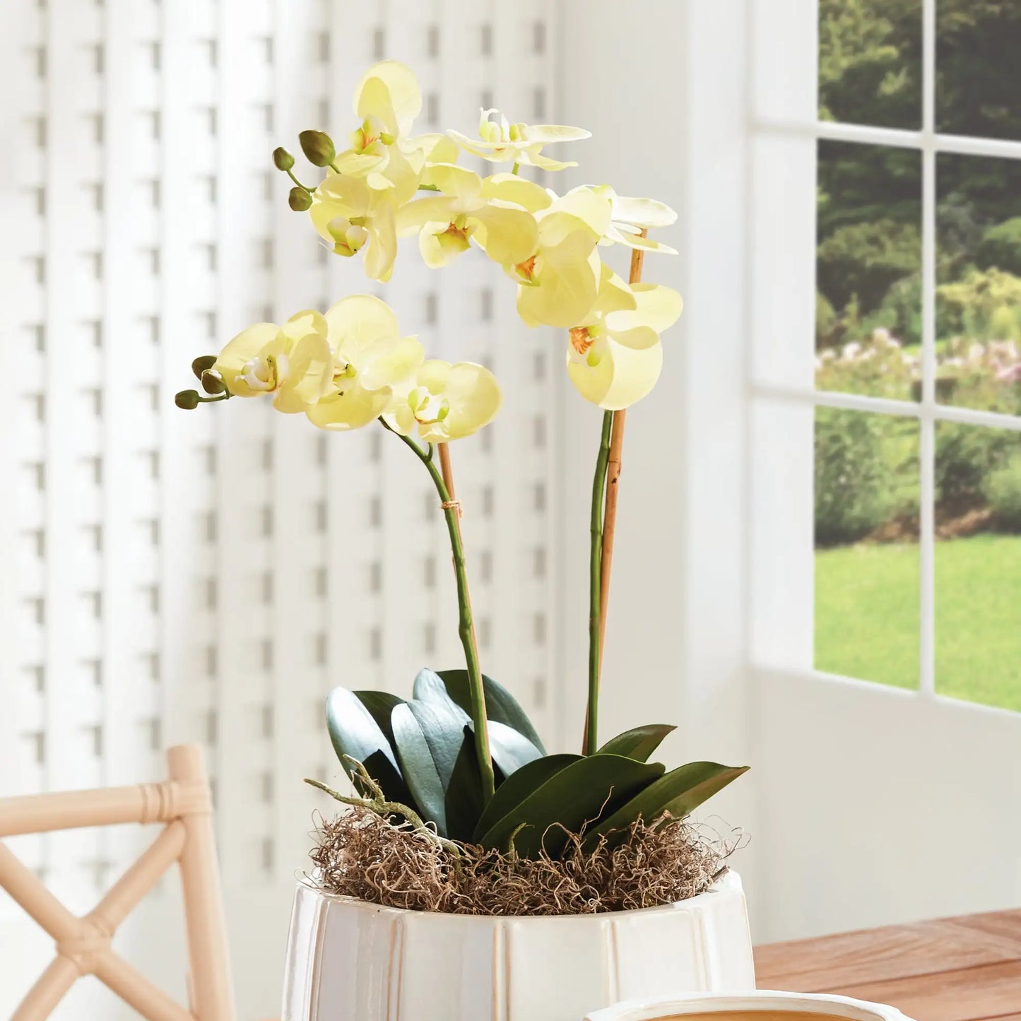 PHALAENOPSIS ORCHID DROP-IN 23" - view 2