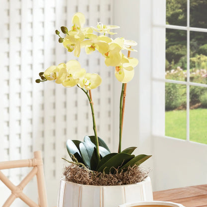PHALAENOPSIS ORCHID DROP-IN 23" - view 2