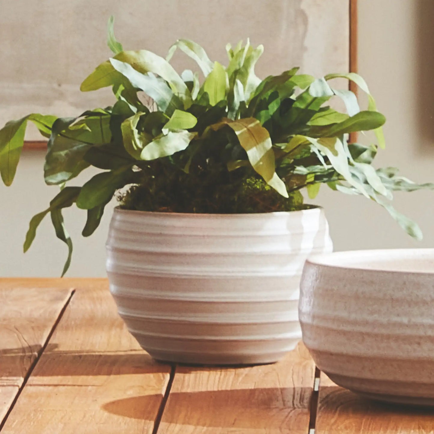 CHRYSSA POT - view 2