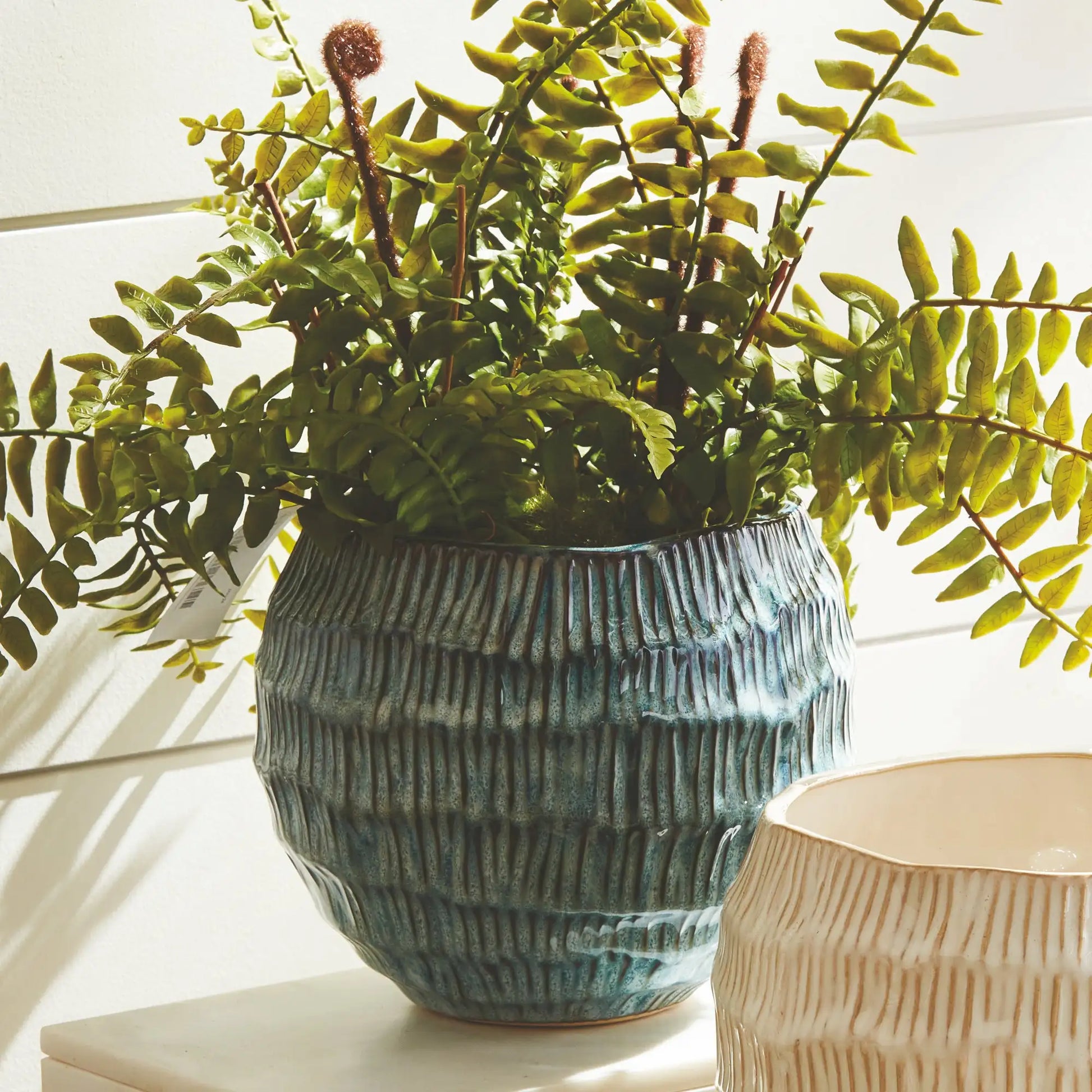 VISTA POT - view 2