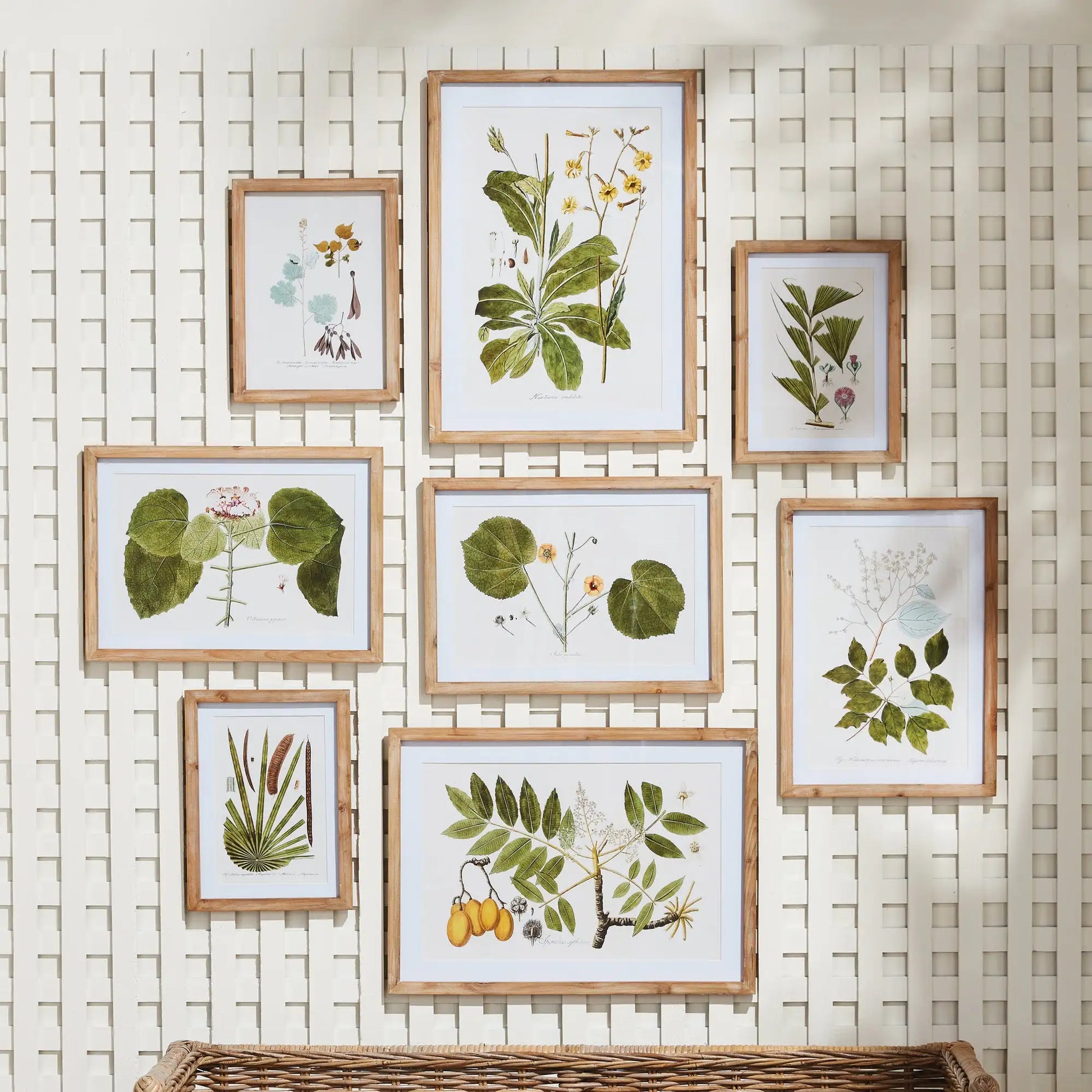 FLORA AND FAUNA GALLERY PRINTS, SET OF 8 - view 2