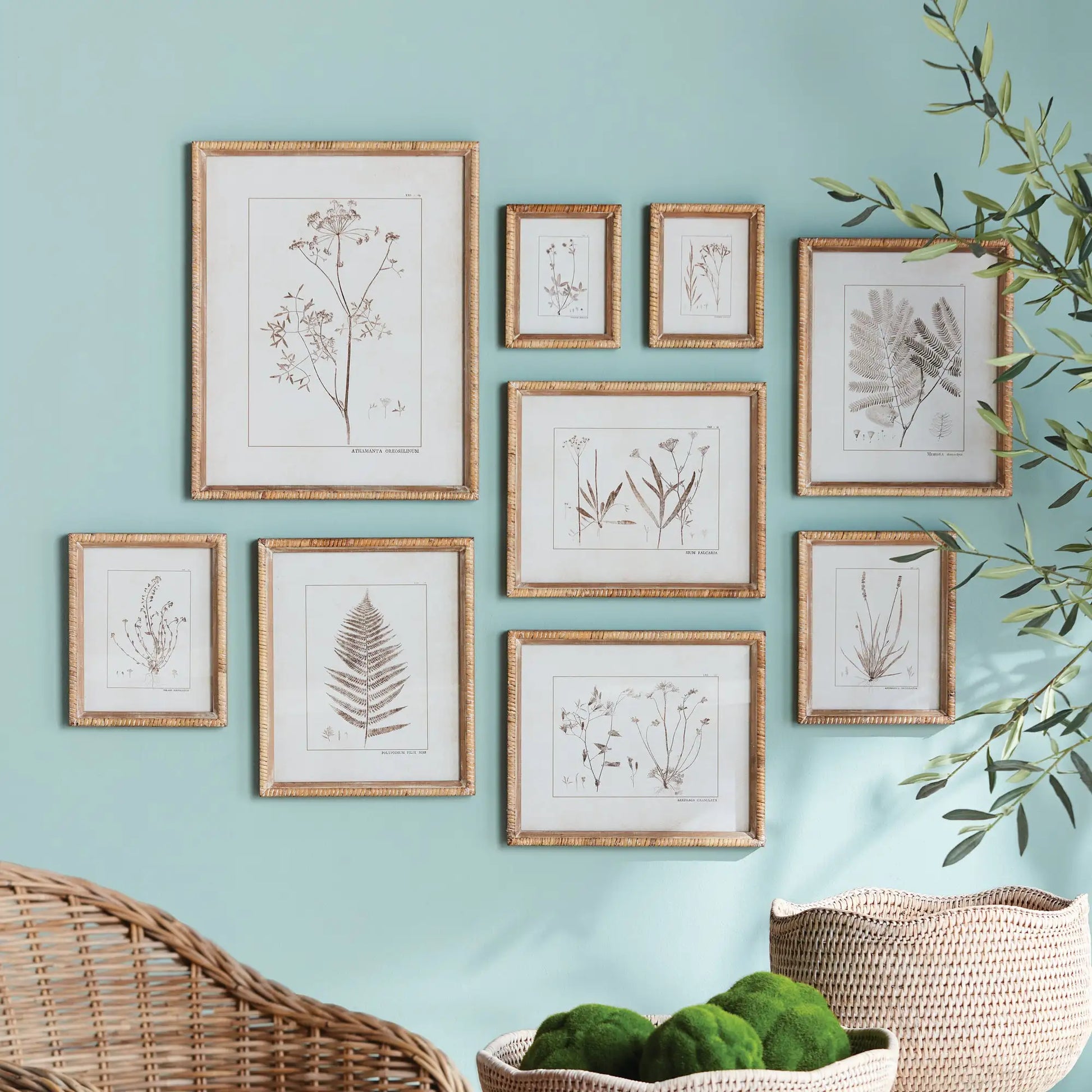 BOTANICAL STUDY IN SEPIA, SET OF 9 - view 2