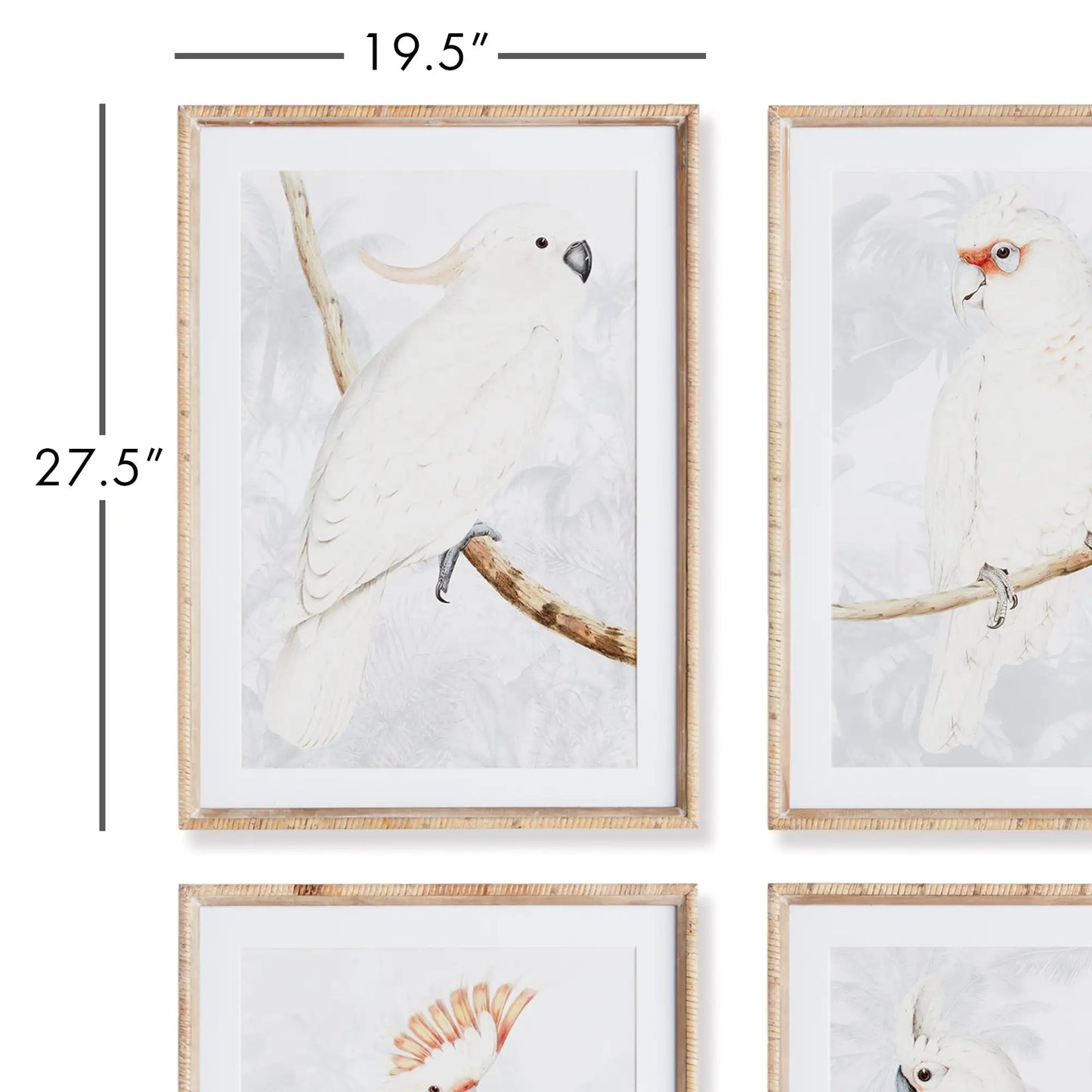 WHITE COCKATOO PRINTS, SET OF 4 - view 2