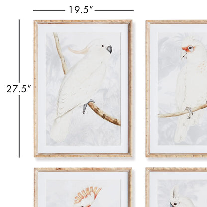 WHITE COCKATOO PRINTS, SET OF 4 - view 2