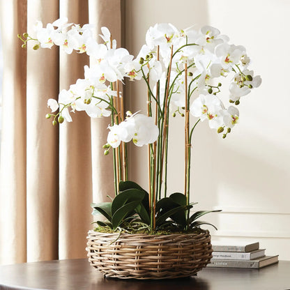 PHALAENOPSIS ORCHID BOWL DROP-IN 35" - view 2