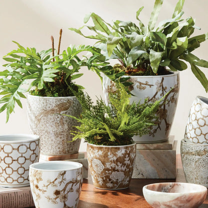PROVINCE FLOWER POTS, SET OF 3 - view 2