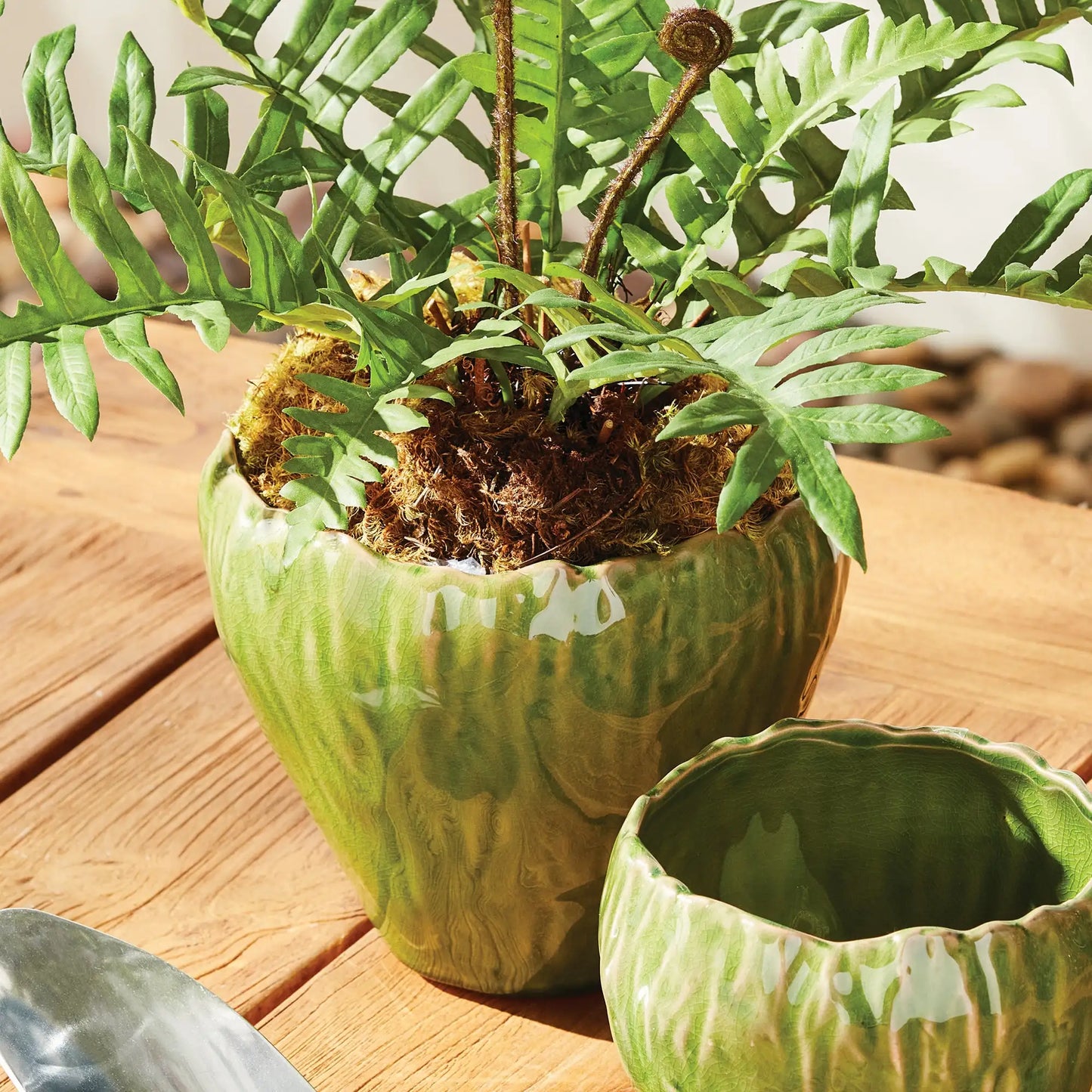 EVELYN POT LARGE - view 2