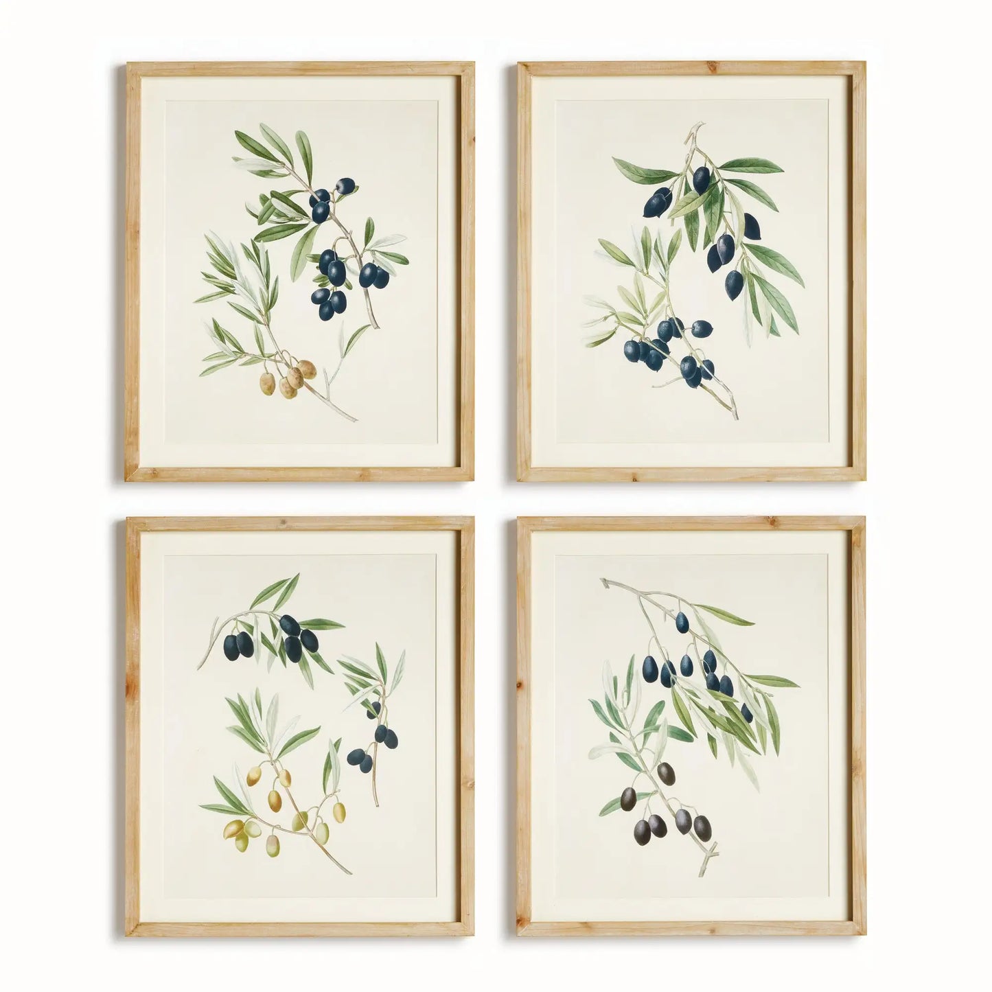 OLIVE STEMS STUDY, SET OF 4