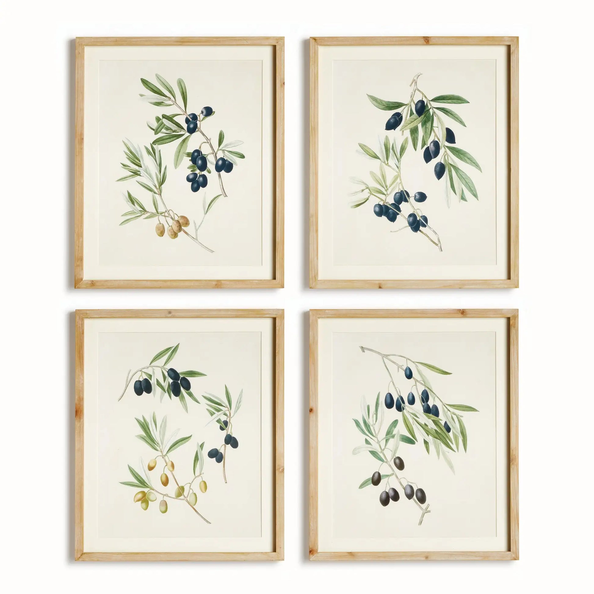 OLIVE STEMS STUDY, SET OF 4