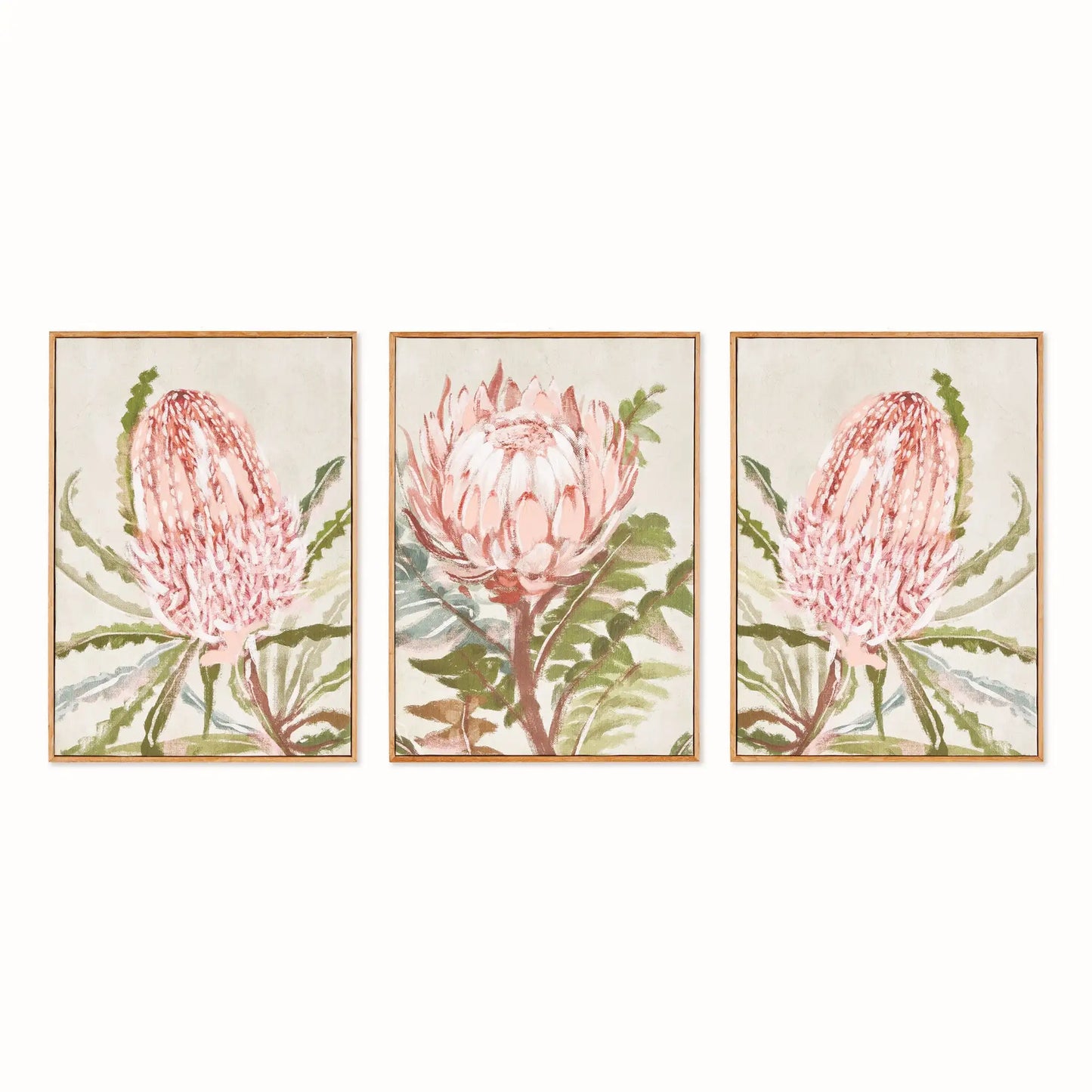 QUEEN PROTEA GICLEES, SET OF 3