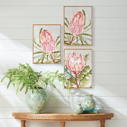 QUEEN PROTEA GICLEES, SET OF 3 - view 2