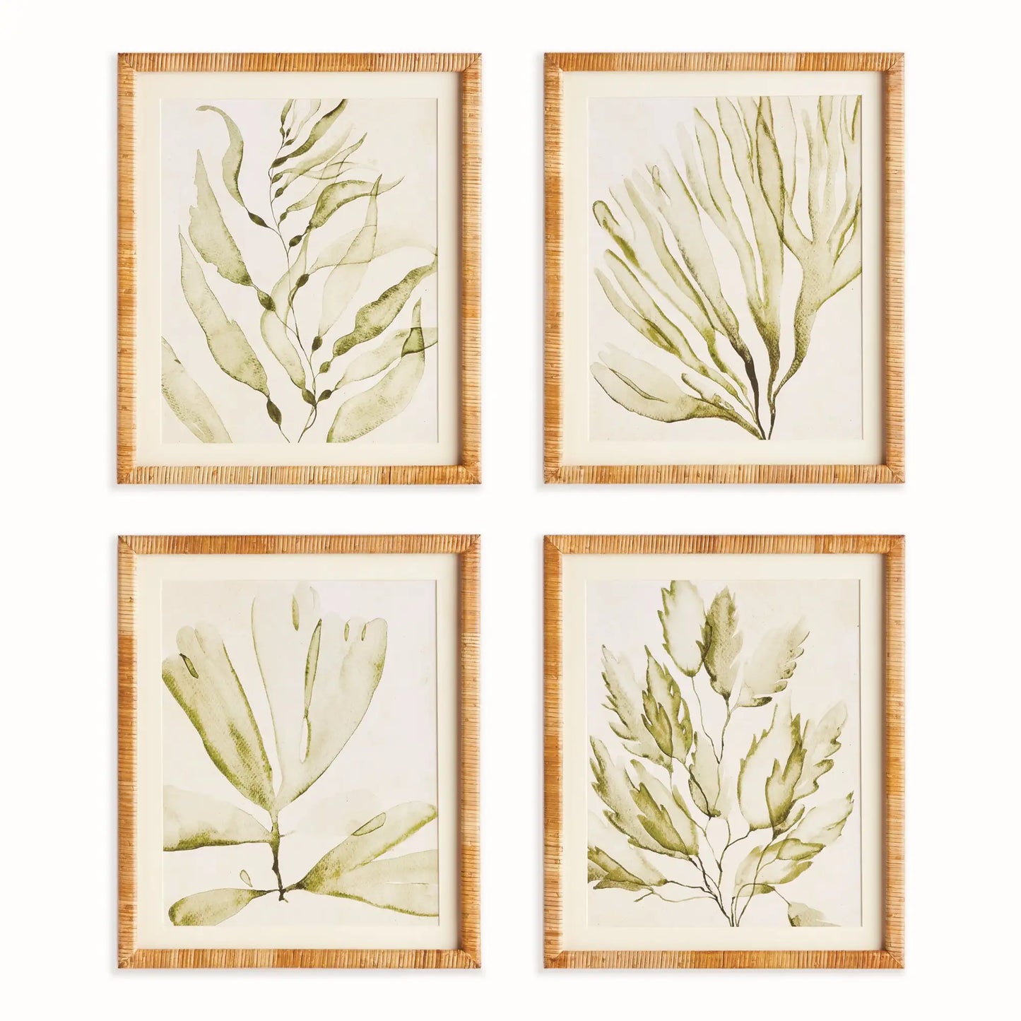 COASTAL GREENERY PRINTS, SET OF 4