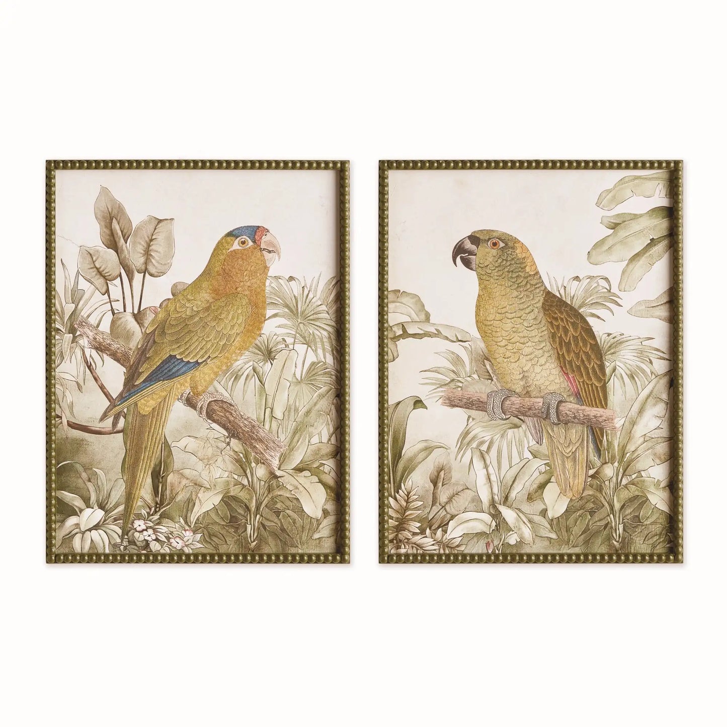 TROPICAL PARROT PRINTS, SET OF 2