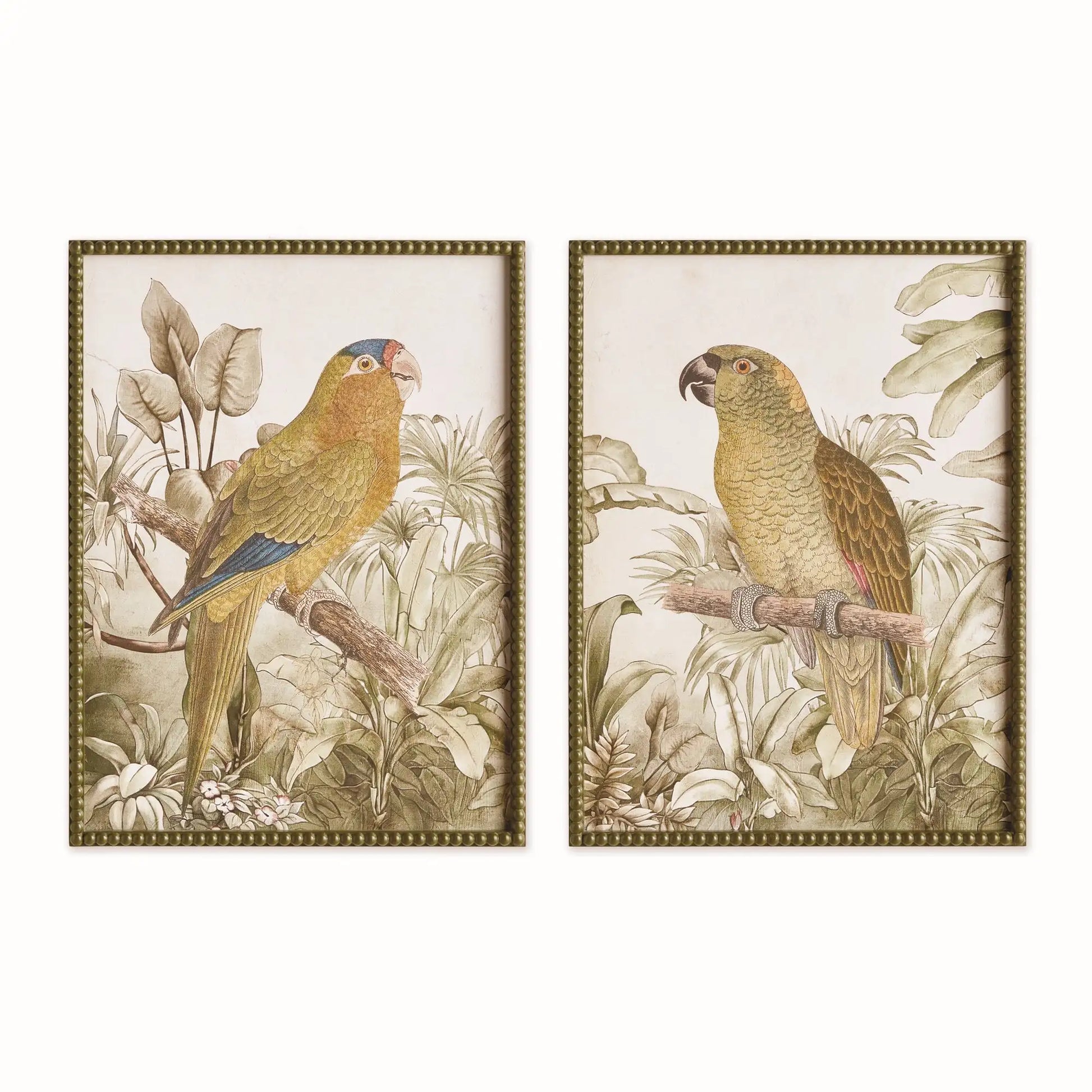 TROPICAL PARROT PRINTS, SET OF 2