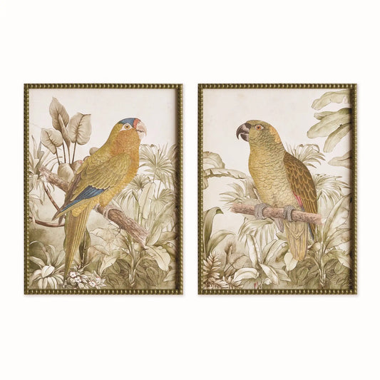 TROPICAL PARROT PRINTS, SET OF 2