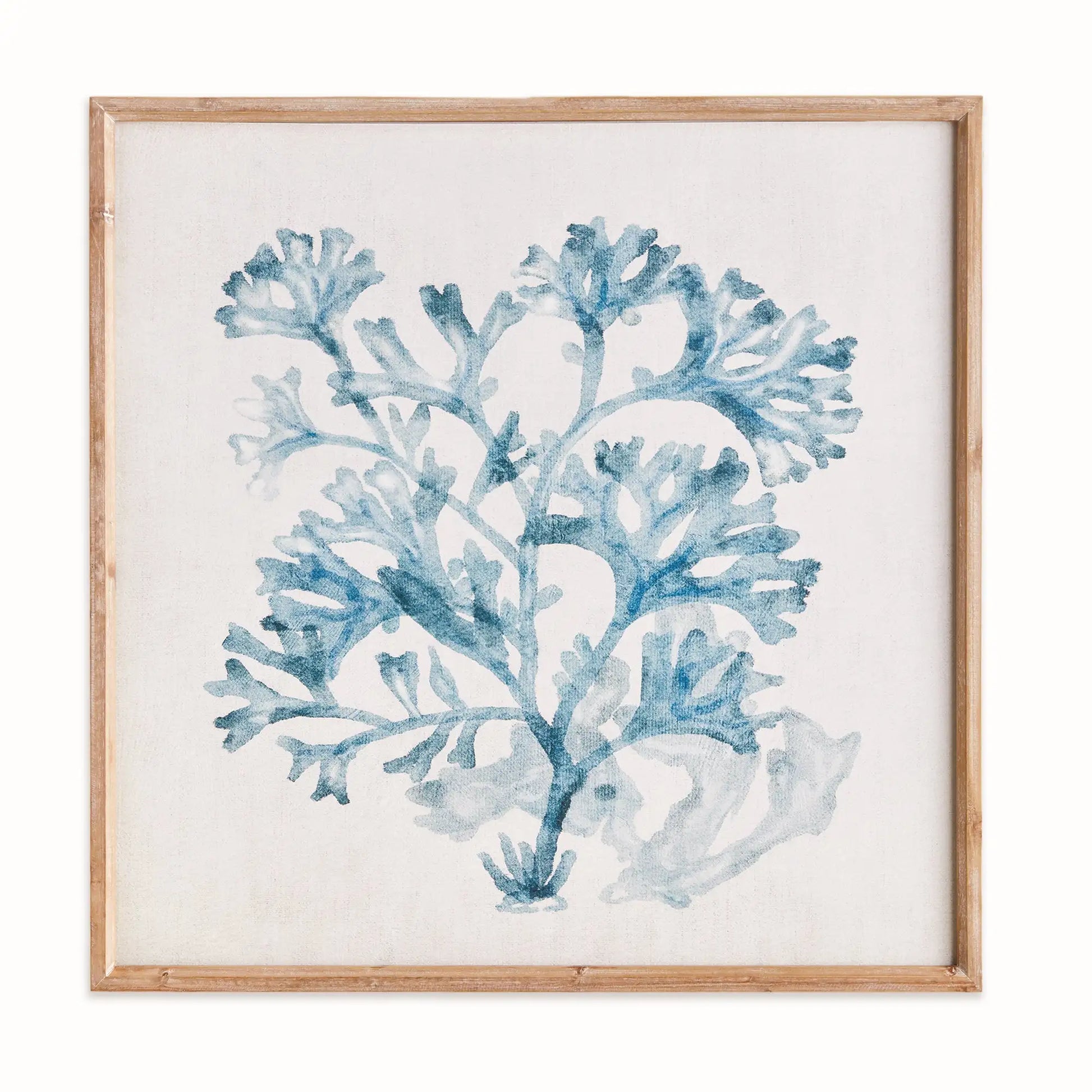TRANSLUCENT CORAL PRINT