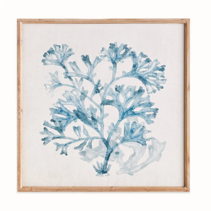 TRANSLUCENT CORAL PRINT