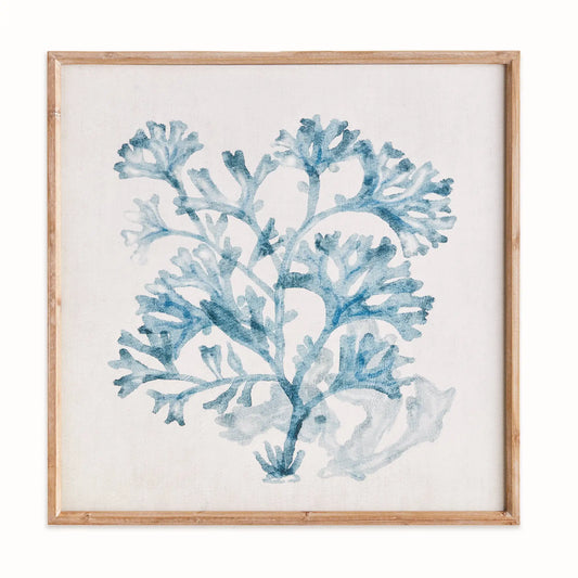 TRANSLUCENT CORAL PRINT