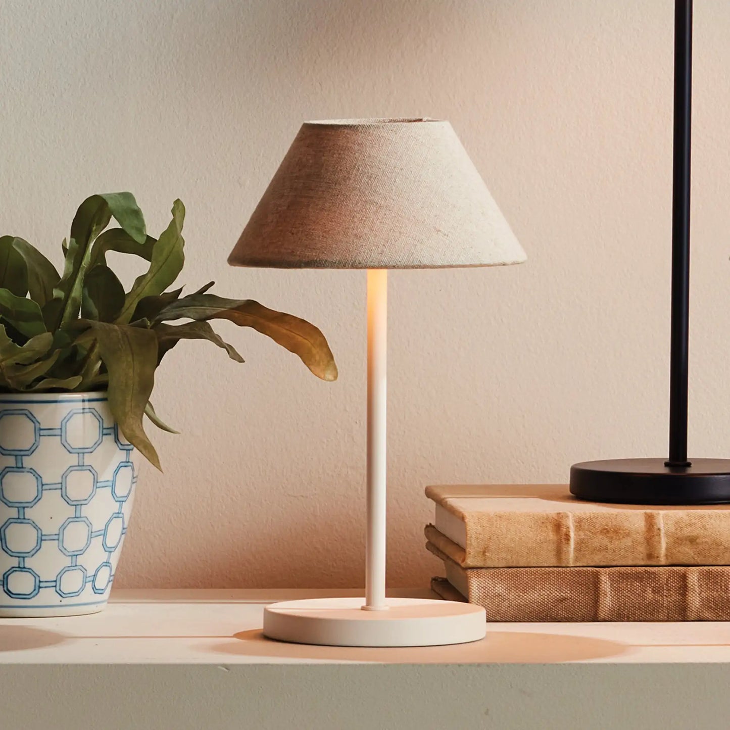 ALLUNA CORDLESS LED LAMP 10" - view 3